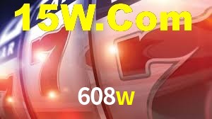 608w App Interface